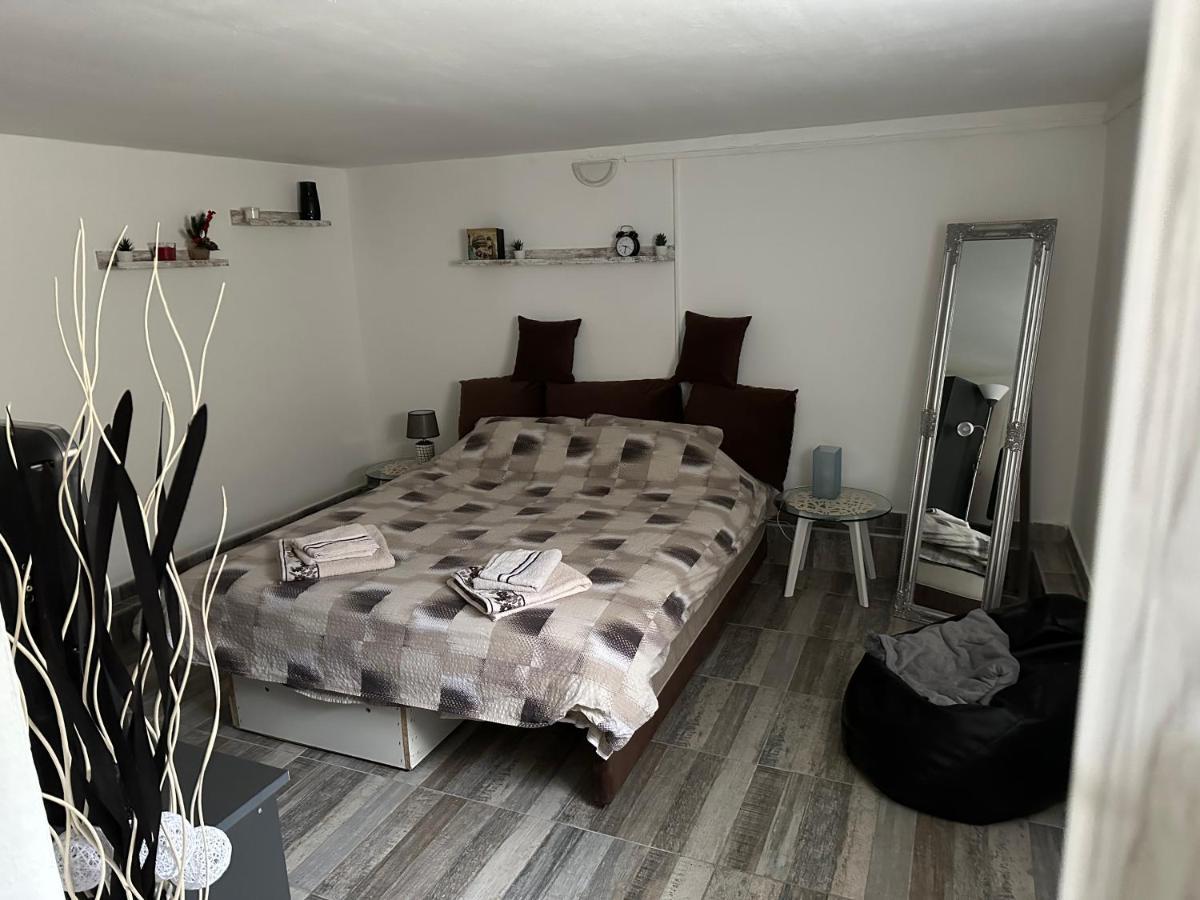 Privatni Smestaj Zlatko Sokobanja Extérieur photo