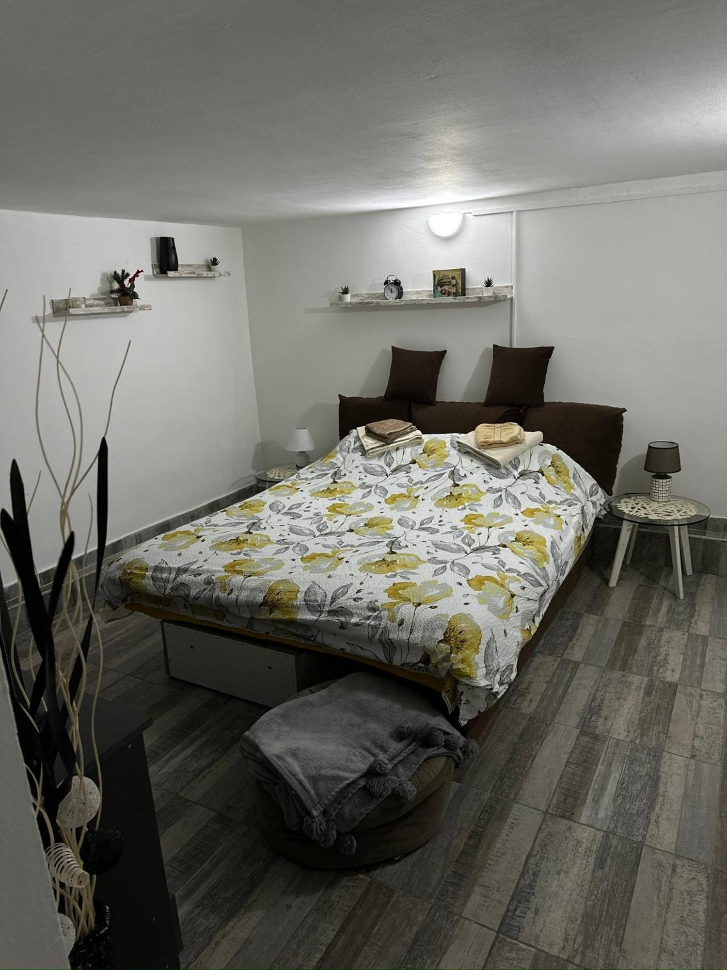 Privatni Smestaj Zlatko Sokobanja Extérieur photo