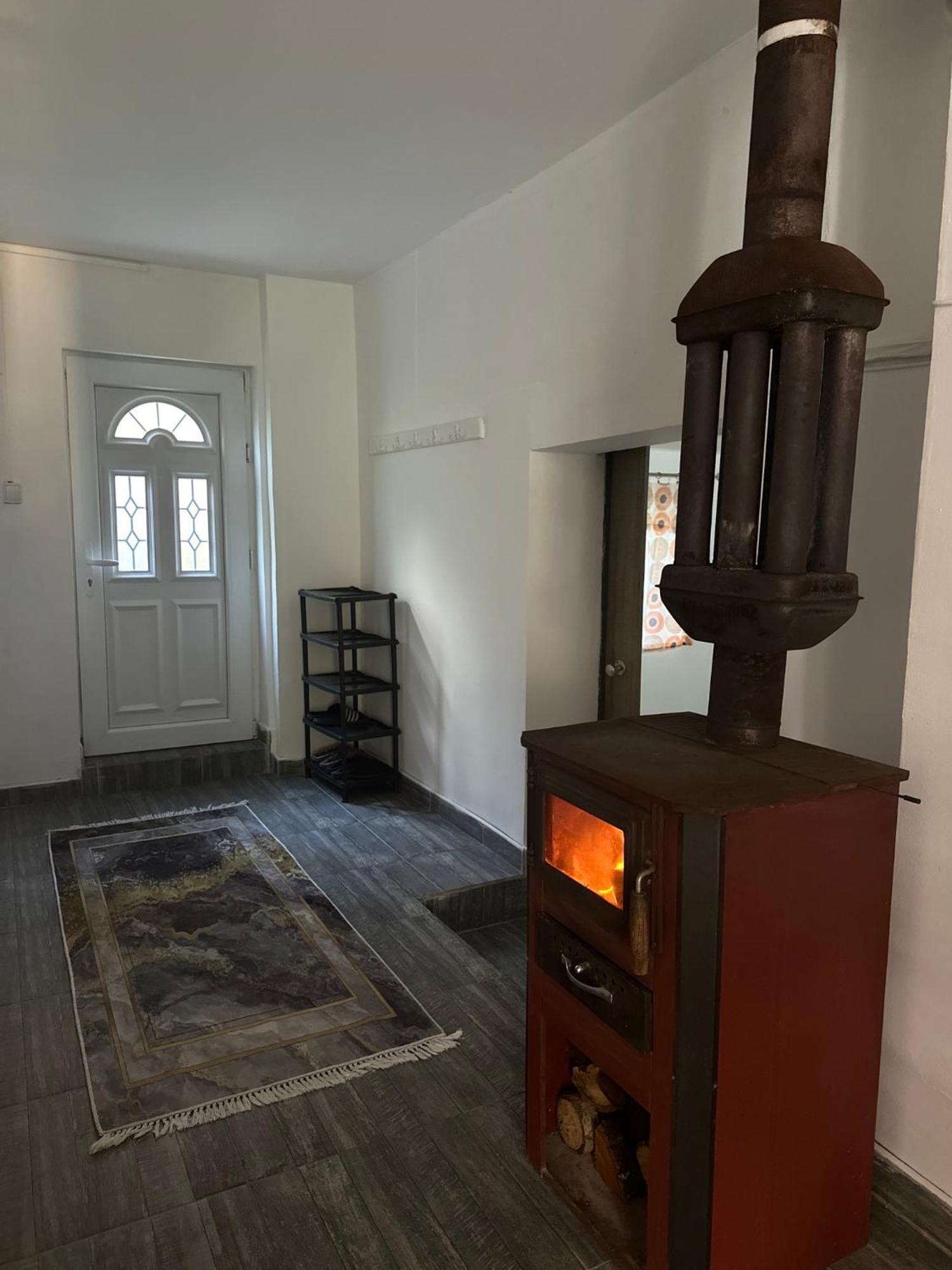 Privatni Smestaj Zlatko Sokobanja Extérieur photo