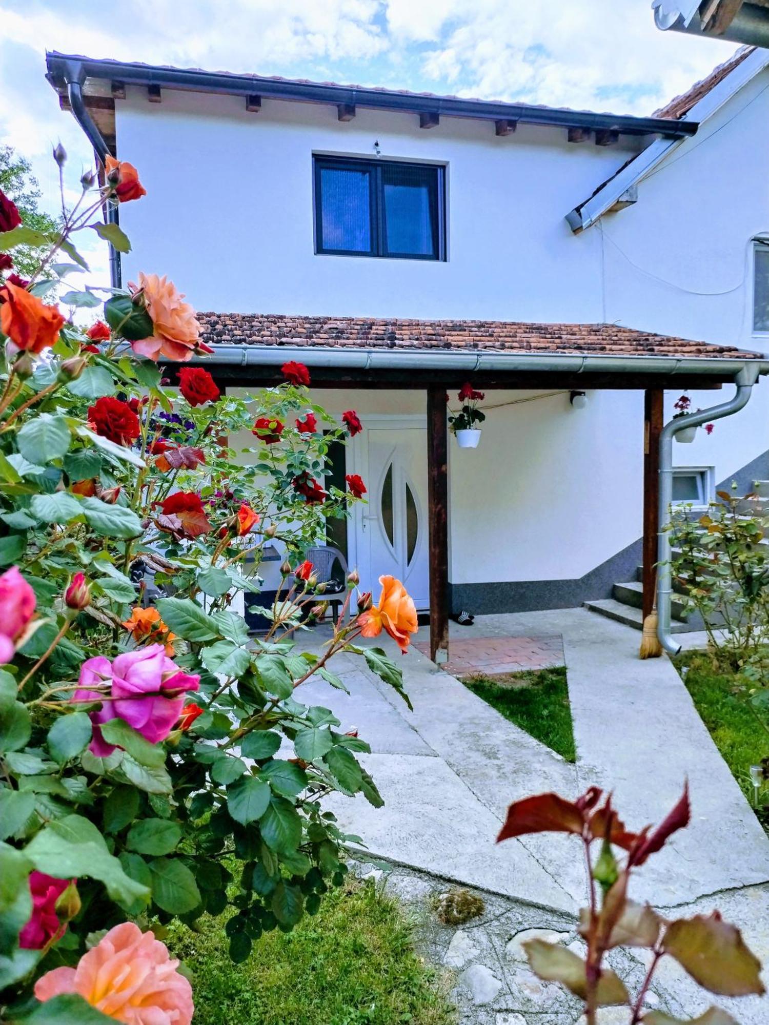 Privatni Smestaj Zlatko Sokobanja Extérieur photo